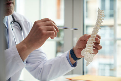 Concept of spinal stenosis treatment in Greenville SC doctor with spine model